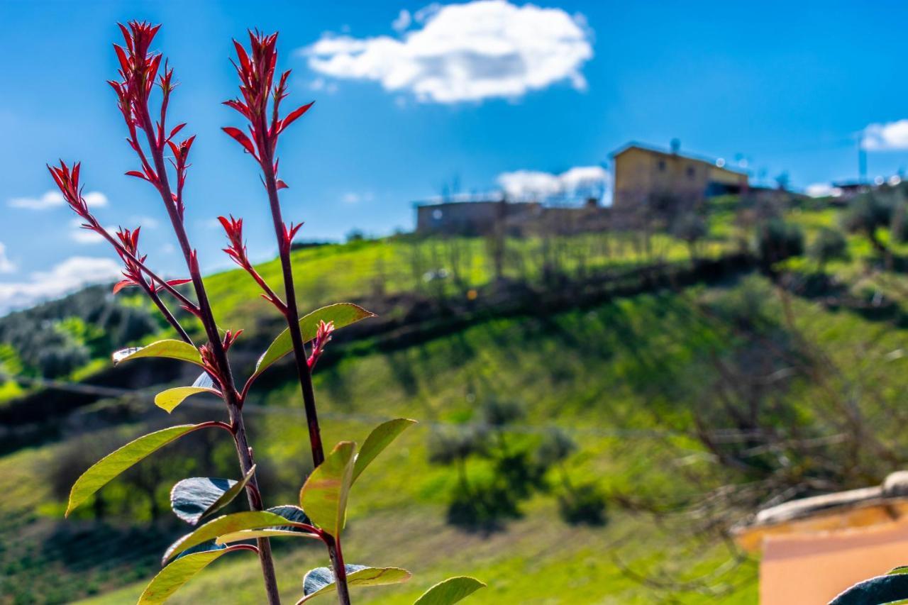 La Casa Del Nonno Bed and Breakfast Spoltore Εξωτερικό φωτογραφία
