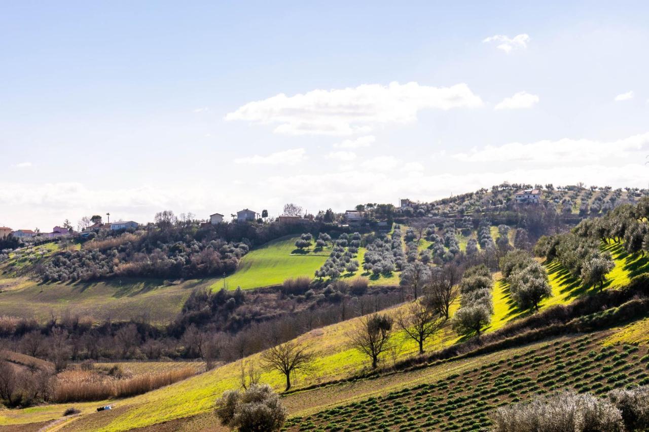 La Casa Del Nonno Bed and Breakfast Spoltore Εξωτερικό φωτογραφία