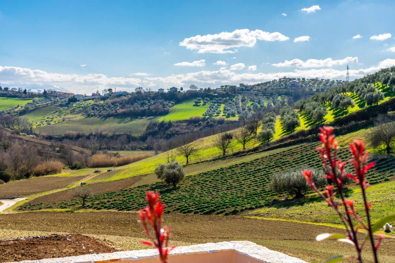 La Casa Del Nonno Bed and Breakfast Spoltore Εξωτερικό φωτογραφία